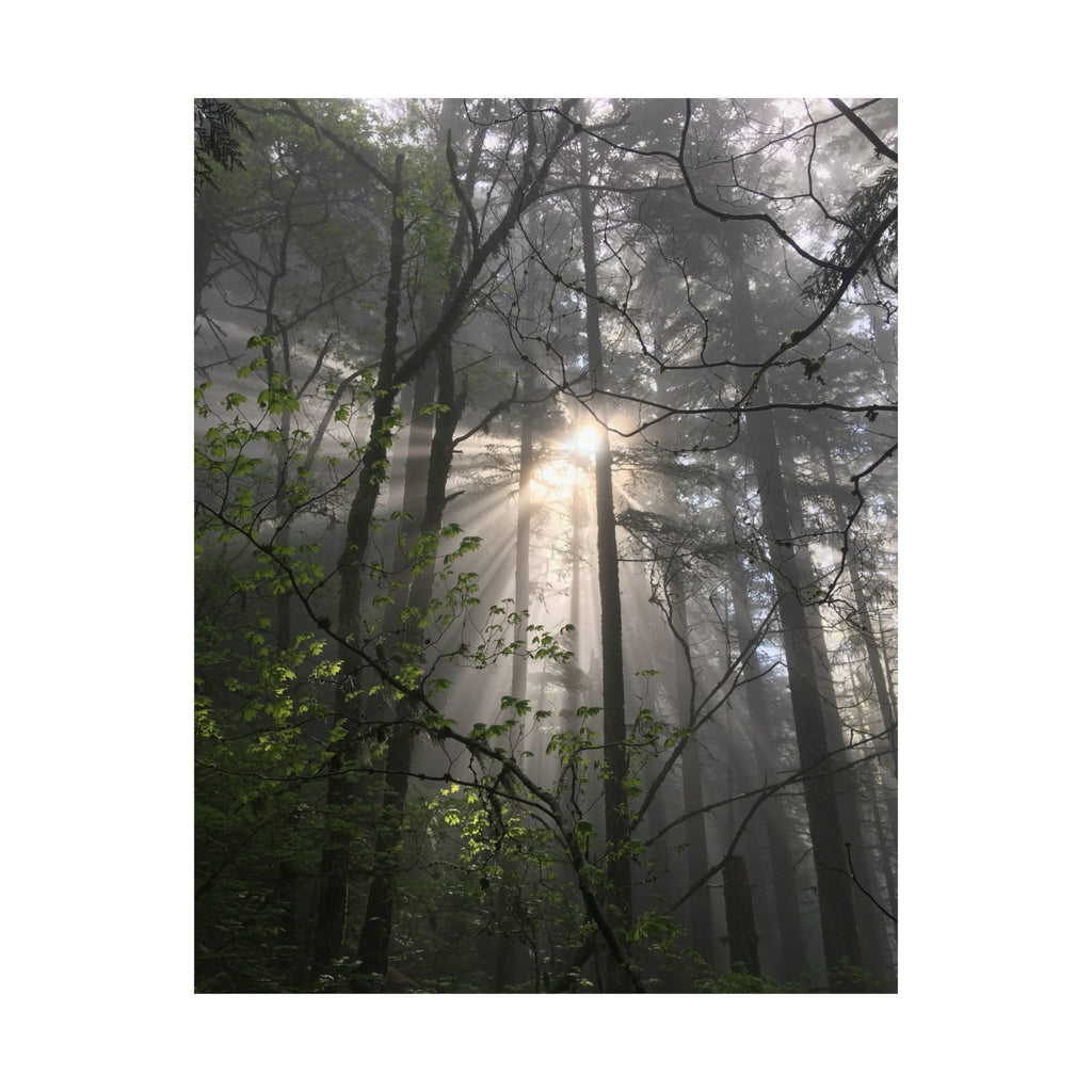 Forest Sunbeams Matte Poster — Vertical Nature Wall Art