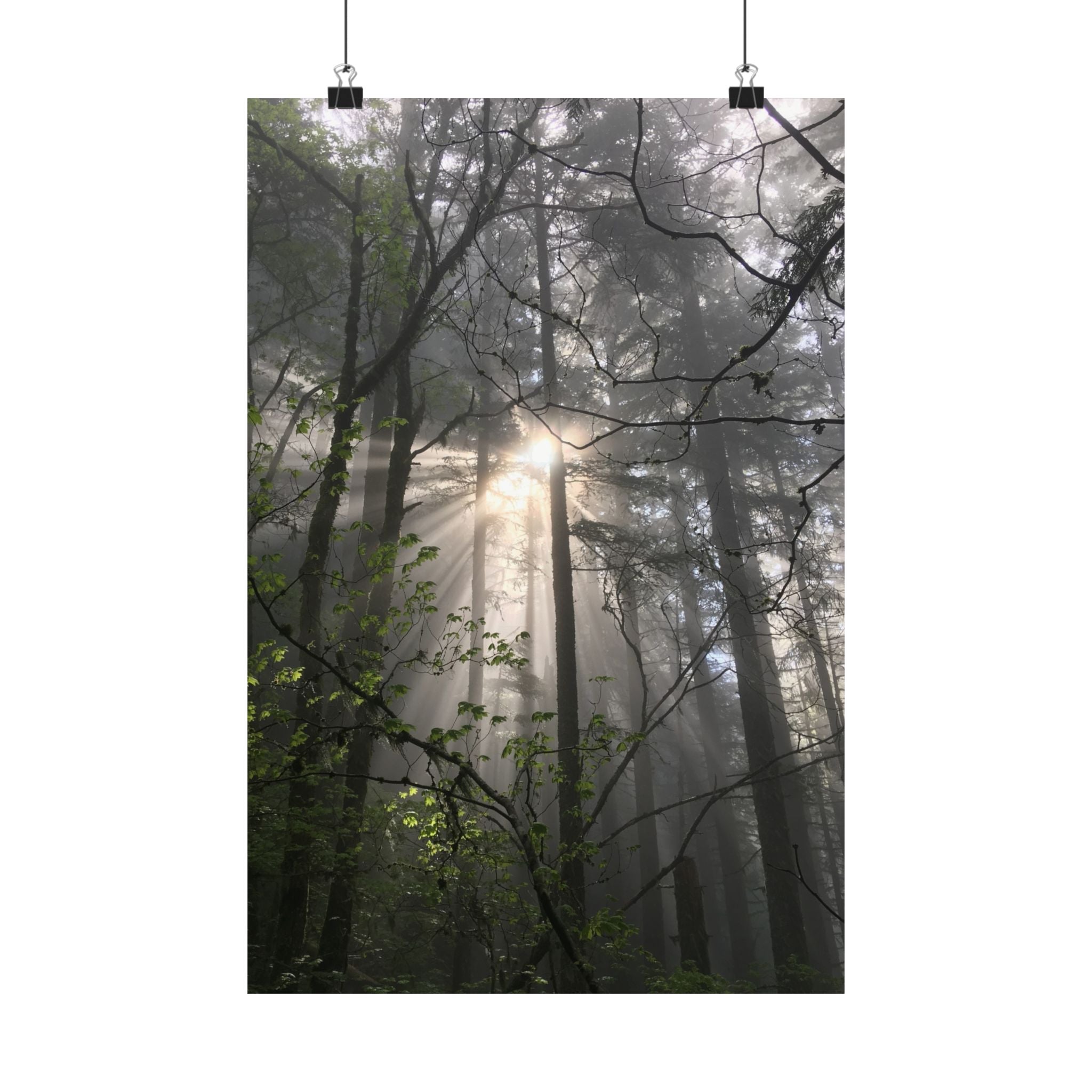 Forest Sunbeams Matte Poster — Vertical Nature Wall Art