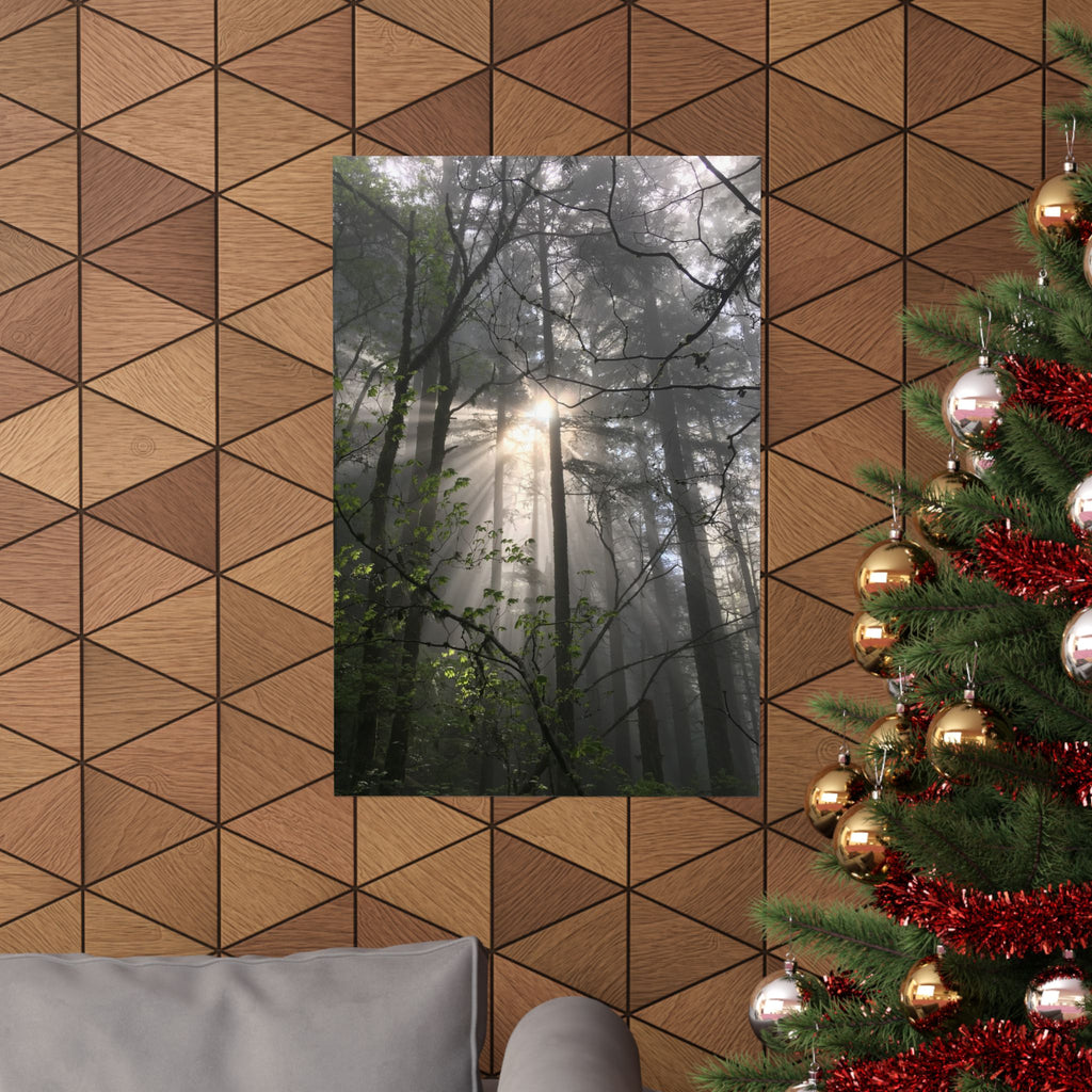 Forest Sunbeams Matte Poster — Vertical Nature Wall Art