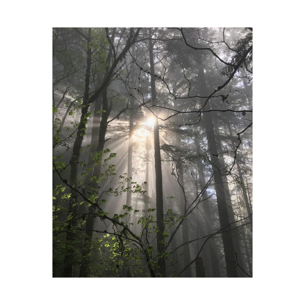 Forest Sunbeams Matte Poster — Vertical Nature Wall Art