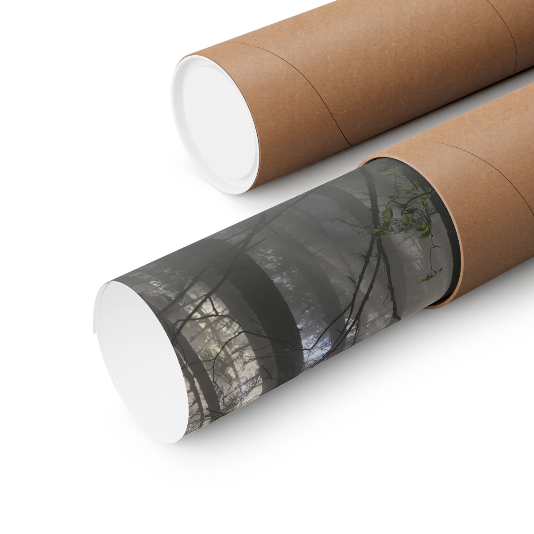 Forest Sunbeams Matte Poster — Vertical Nature Wall Art