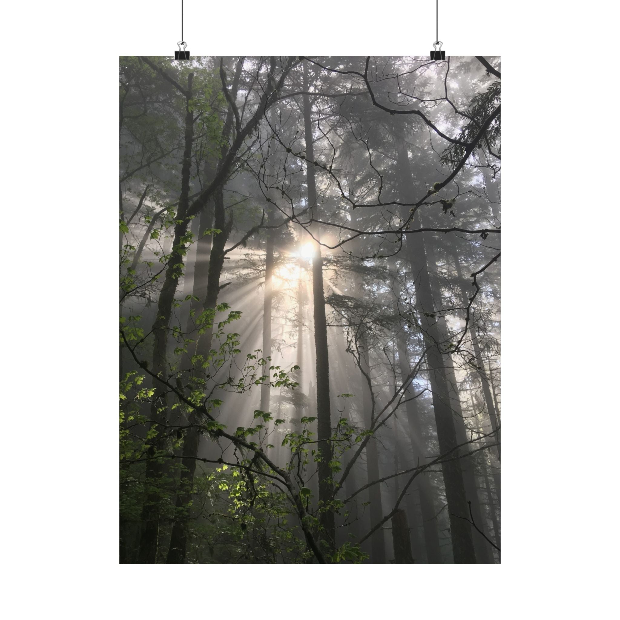 Forest Sunbeams Matte Poster — Vertical Nature Wall Art