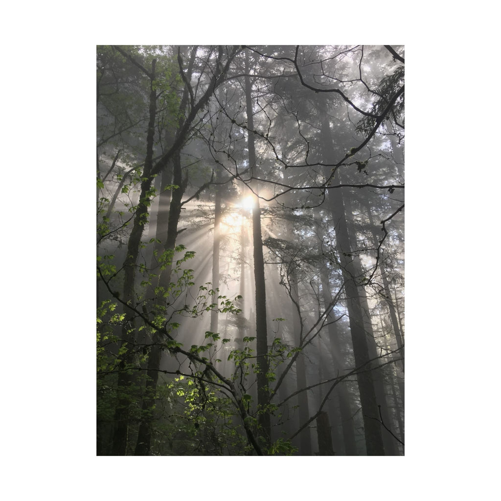Forest Sunbeams Matte Poster — Vertical Nature Wall Art