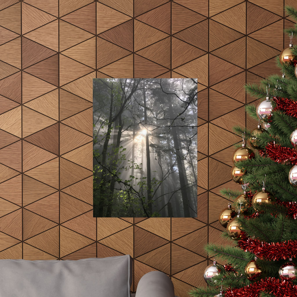 Forest Sunbeams Matte Poster — Vertical Nature Wall Art