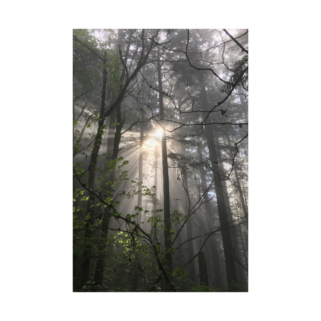 Forest Sunbeams Matte Poster — Vertical Nature Wall Art