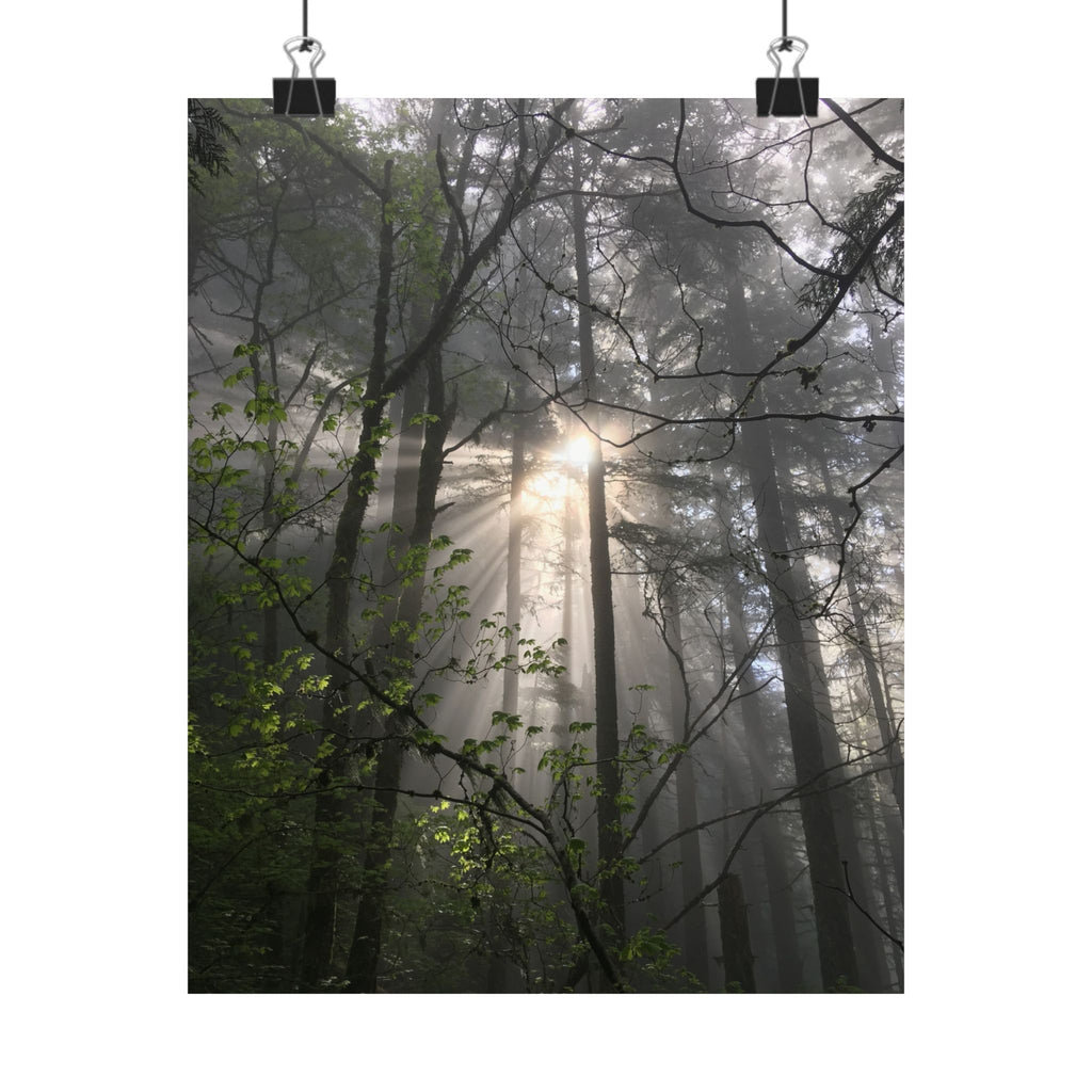 Forest Sunbeams Matte Poster — Vertical Nature Wall Art