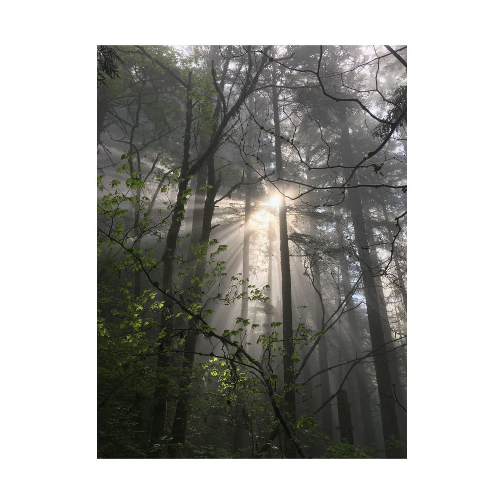 Forest Sunbeams Matte Poster — Vertical Nature Wall Art
